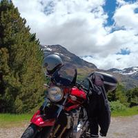 splendida Suzuki bandit 650