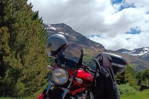 splendida Suzuki bandit 650