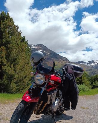 splendida Suzuki bandit 650
