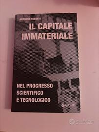 Libro Il capitale immateriale