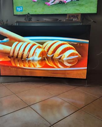 smart LG OLED 55 pollici 