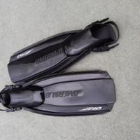 Pinne omersub icarus nuove