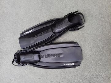 Pinne omersub icarus nuove