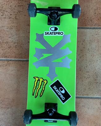 Skateboard