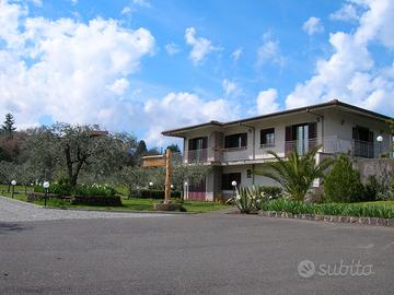 Terreno agricolo con villa, uliveto e vigneto