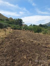 Terreno in contrada Sorgiva a Scillato