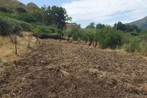Terreno in contrada Sorgiva a Scillato