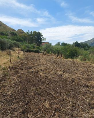 Terreno in contrada Sorgiva a Scillato