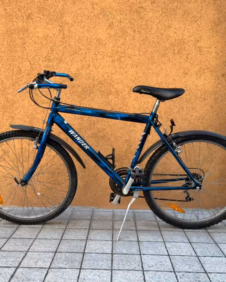 Mountain bike uomo