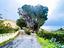 Immagine 27