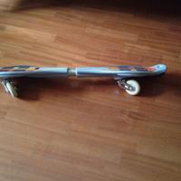 Skateboard due ruote