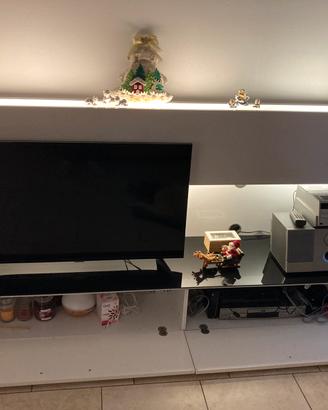 Mobile TV