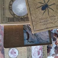 LOTTO LIBRI INSETTI SONZOGNO 