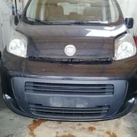 Fiorino qubo