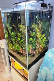 Acquario completo