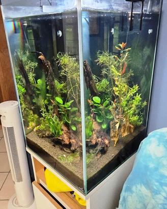 Acquario completo