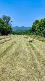 paglia e fieno in ballette