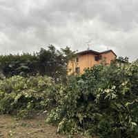 Pignarul-Materiale taglio siepe – circa 30m3