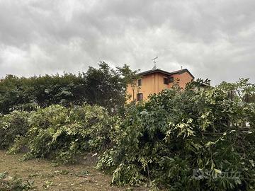 Pignarul-Materiale taglio siepe – circa 30m3