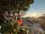 Immagine 28