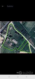Azienda agricola