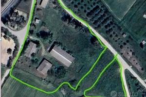 Azienda agricola