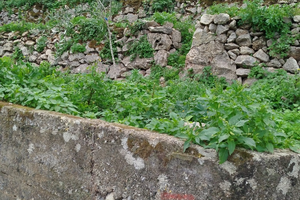 Terreno in via gilbirossa ciaculli