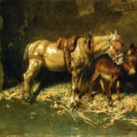 Dipinto pellicciotti animali