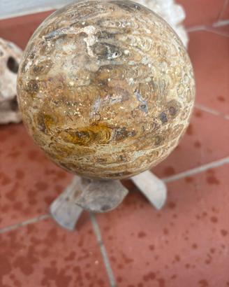 sfera di pietra fossile