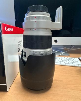 Canon EF 70-200mm f/2.8L IS II USM – Serie L