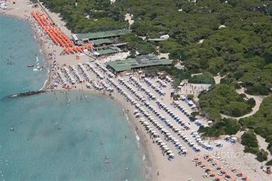 VICTOR VILLAGE bilo settim. centrali agosto CLIMA
