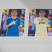 carte adrenalyn TITANS 