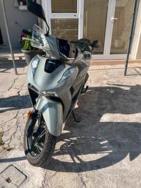 SH 125 ANNO 2024