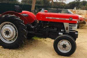 Massey Ferguson 155