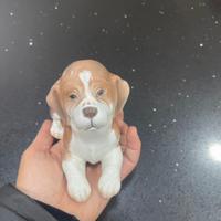 Cane beagle porcellana