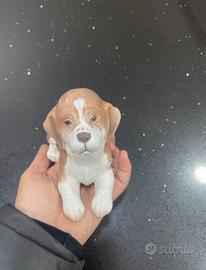 Cane beagle porcellana