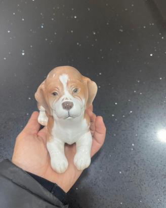 Cane beagle porcellana