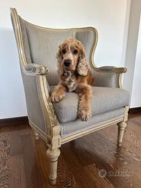 Rara coppia Bergère Luigi XVI