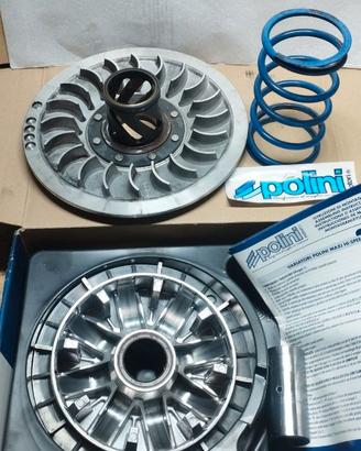 Varoatore Polini Completo