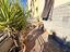 Immagine 23
