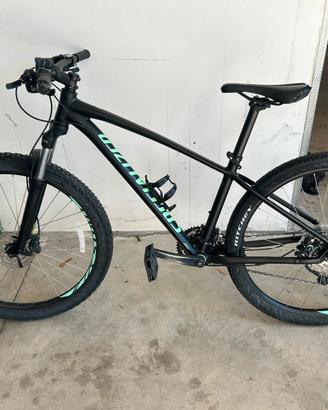 mtb specialized