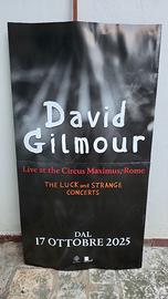 Cartonato pubblicitario David Gilmour e Bruce Spri