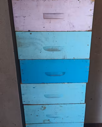 Melari costruiti 9 telaini arnia da 10