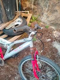 bicicletta sportiva 