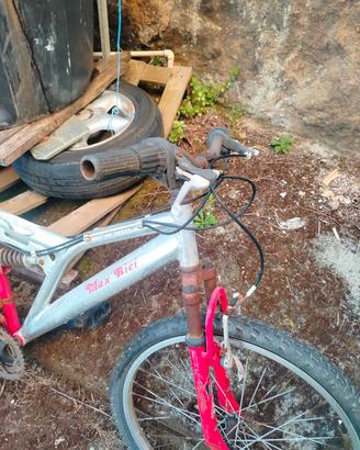 bicicletta sportiva 