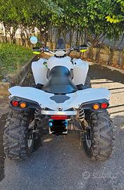 Can-Am Altro modello - 2011