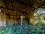 Immagine 29