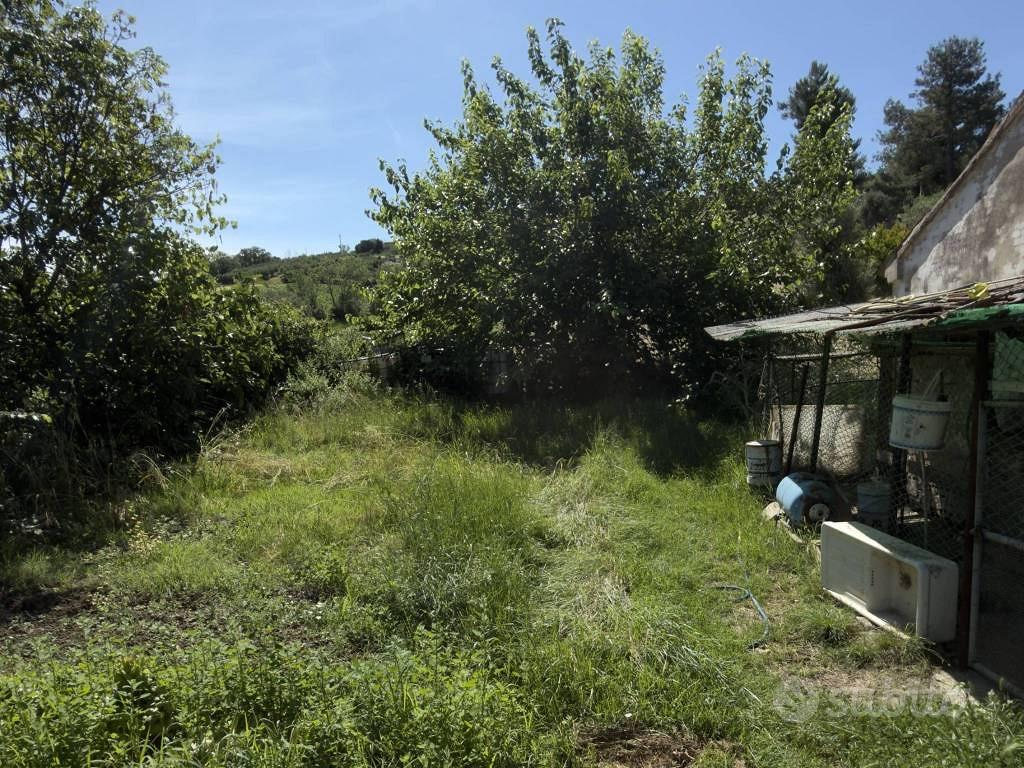 Rustico / Casale di 7132 m² con box auto a Colli a - Vista 4