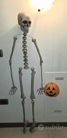 Scheletro + zucca luminosa per Halloween