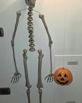 Scheletro + zucca luminosa per Halloween